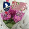 愛妻の日に買う花の値段の相場は?近所の花屋さん(群馬県高崎市)で売っていた花の価格帯は意外にお手頃でした